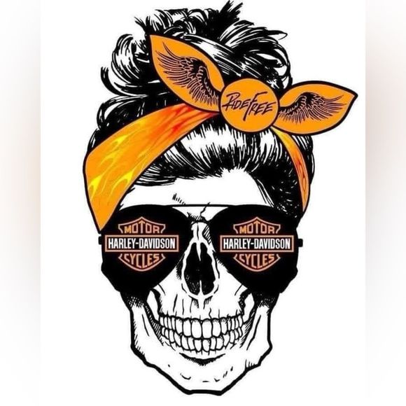 Examples of Harley magnets - Picture 13 of 16